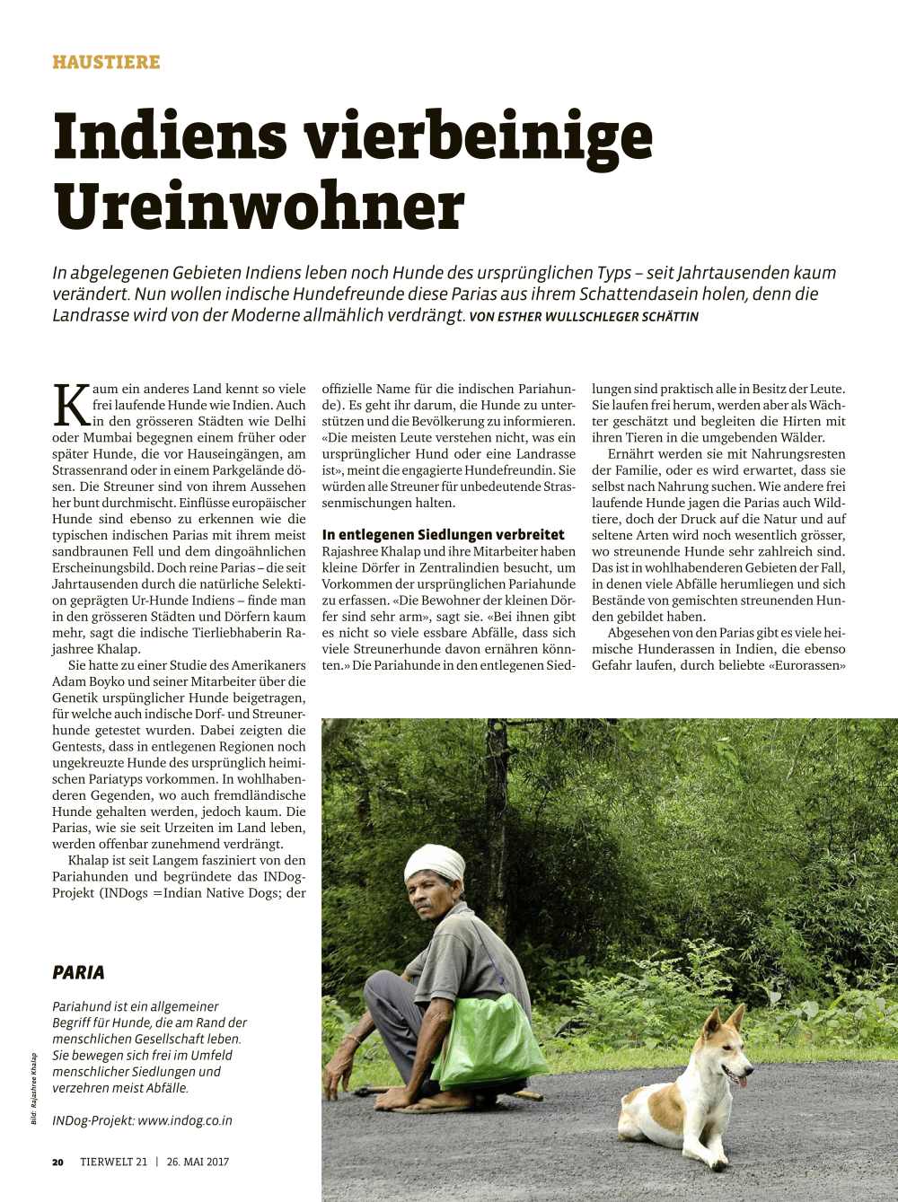 Esther Wullschleger Article on INDogs for Tierwelt