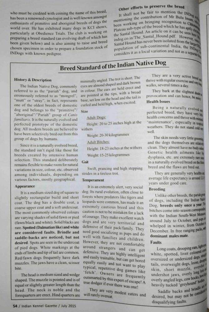 Preserving Indian Native Dog - Kennel Gazette KCI