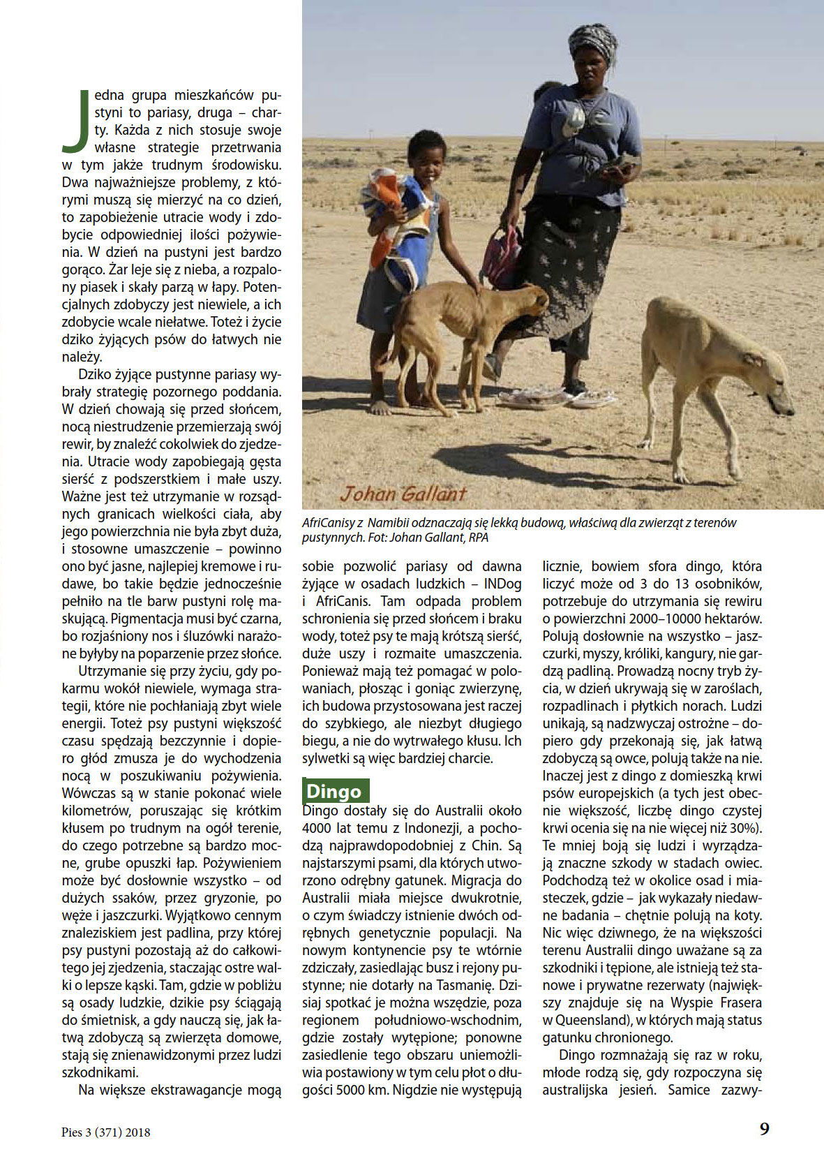Article on primitive dogs, Polish Kennel Club magazine, August 2018